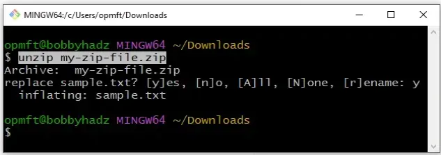 unzip file using git bash