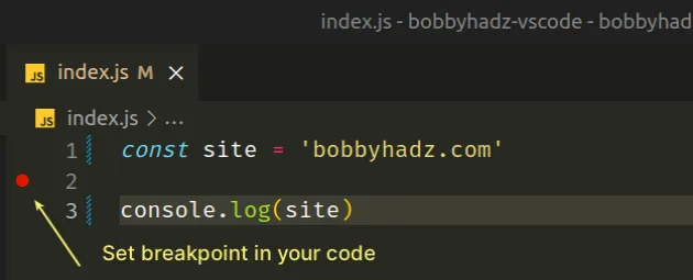 set breakpoint in your code