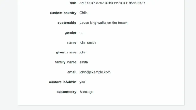 user john custom attributes