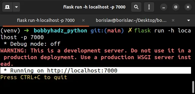 change default flask host and port using command line
