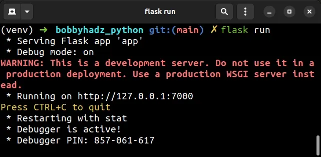 issue flask run command