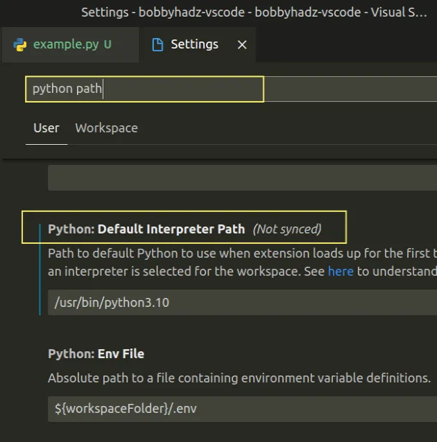 find python default interpreter path setting