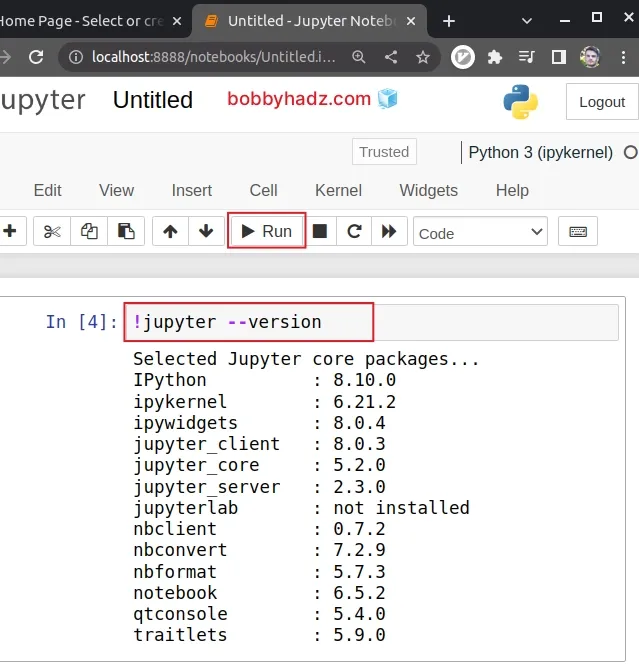 check jupyter version