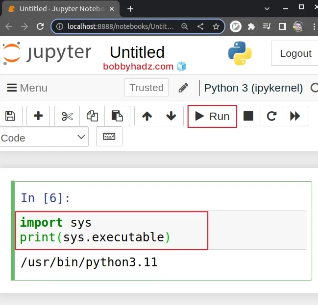 get python interpreter in jupyter notebook