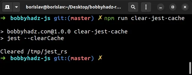 npm run clear jest cache