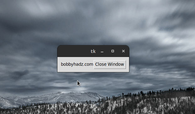 close tkinter window with custom function