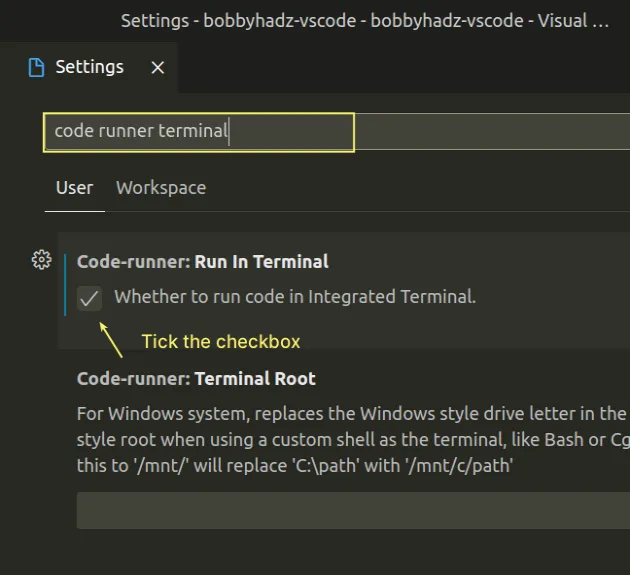 tick-code-runner-run-in-terminal-checkbox