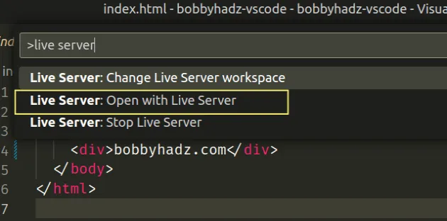 open with live server command palette