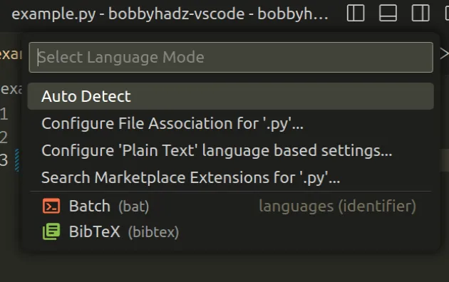 Code language not supported or defined VS Code Error [Fixed] | bobbyhadz