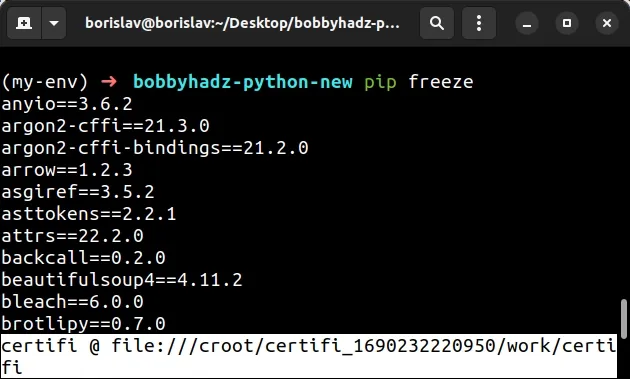 issuing pip freeze in conda environment