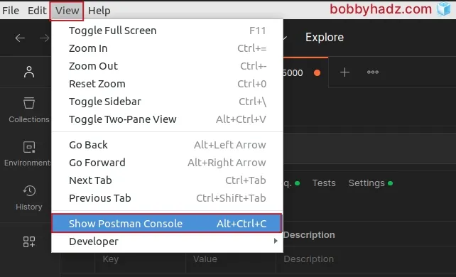 view show postman console