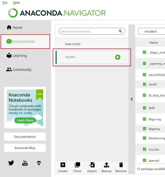 active anaconda environment