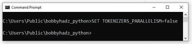 set tokenizers parallelism environment variable on windows in cmd