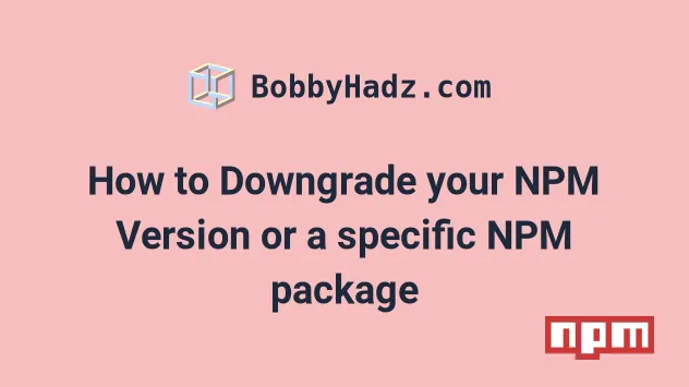 How To Downgrade Your Npm Version Or A Specific Npm Package | Bobbyhadz