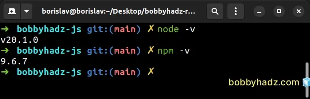 get nodejs and npm versions