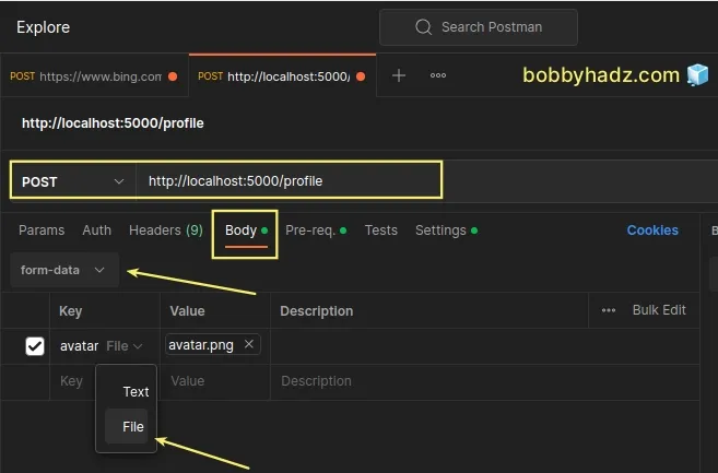 set request body correctly in postman