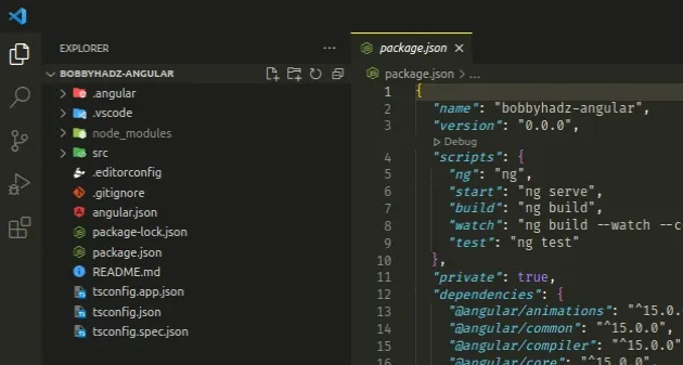 root directory of angular project vscode