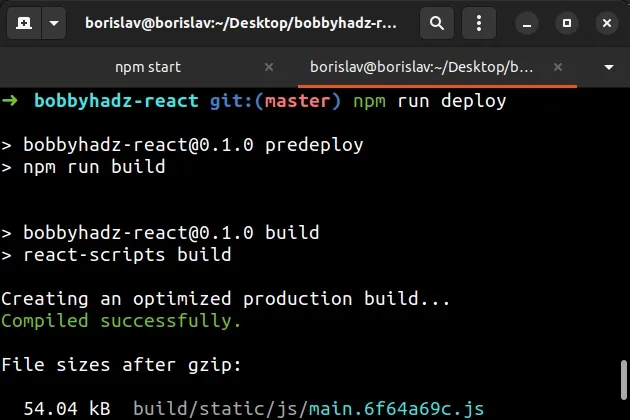 issue npm run deploy command