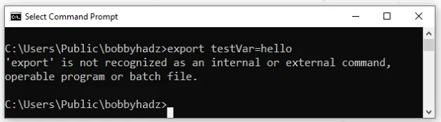 export is not recognized as internal or external command