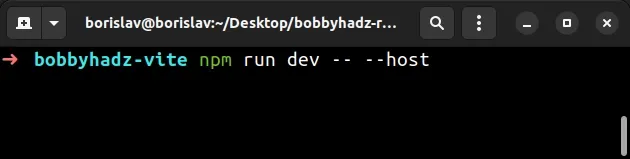 npm run dev with two hyphens