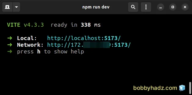 run npm run dev command