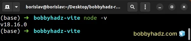 check node js version again