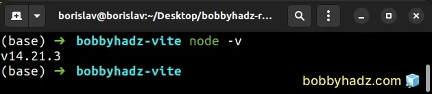 check node js version