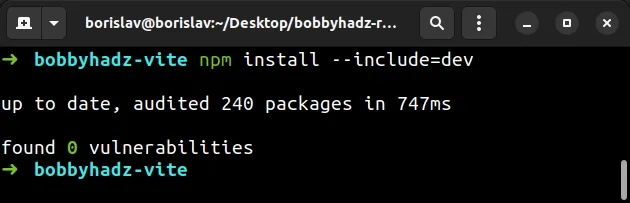 npm install inluding dev dependencies