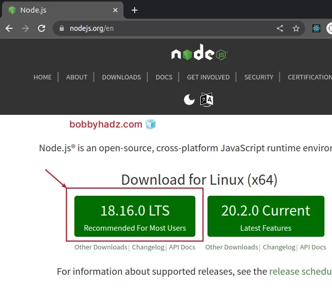 view lts node js version