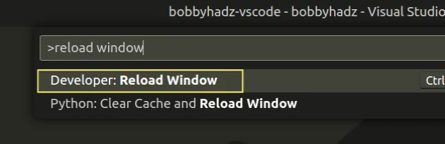 reload window