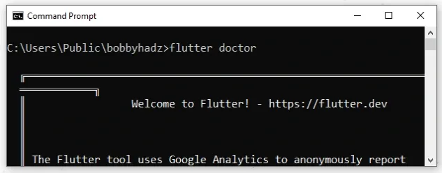 flutter command works