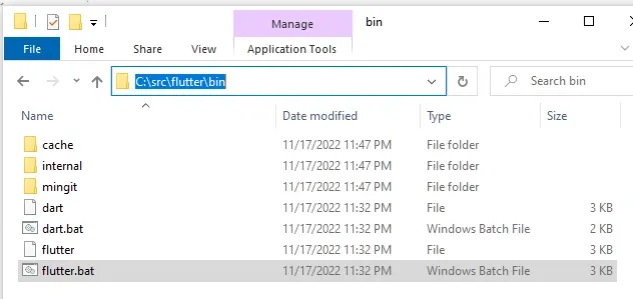 path to flutter bin