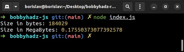 get size of file in node js