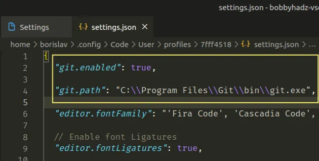 set path to git in settings json