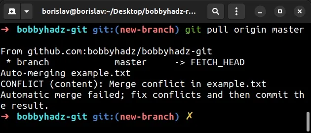 git pull from remote