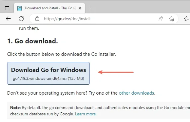 download go for windows