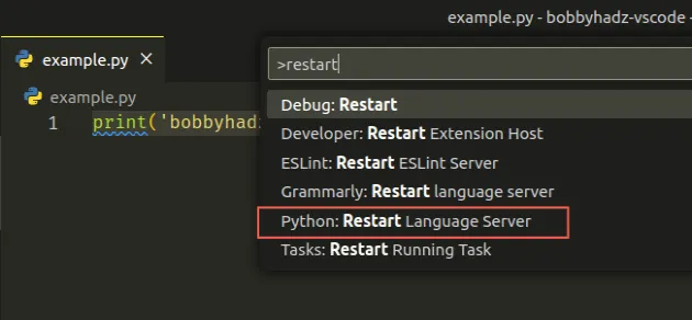 restart language server