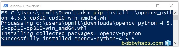 issue pip install package command