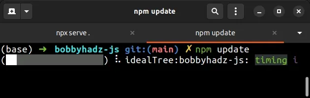 issue npm update command