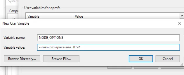 set node options environment variable