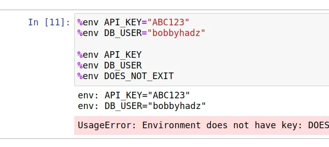 How to set and get Environment Variables in Jupyter Notebook | bobbyhadz