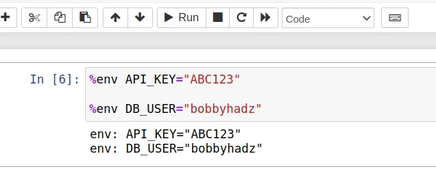 How to set and get Environment Variables in Jupyter Notebook | bobbyhadz