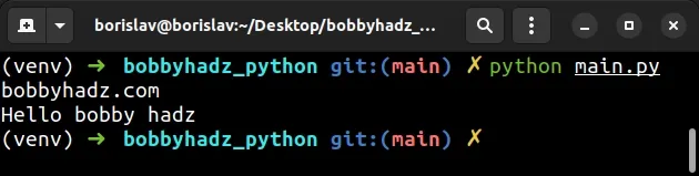 keep python script output window open