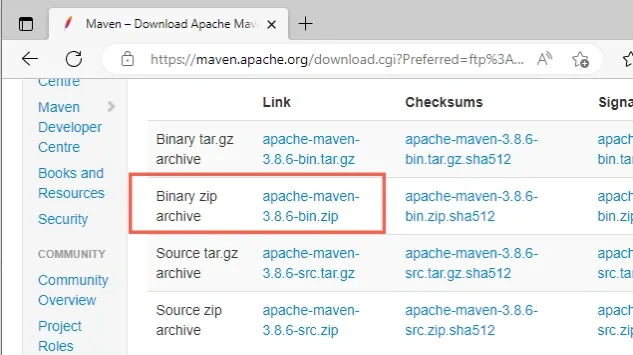 download binary zip archive