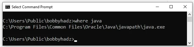 find java exe location