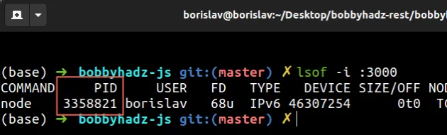 find pid of process on linux