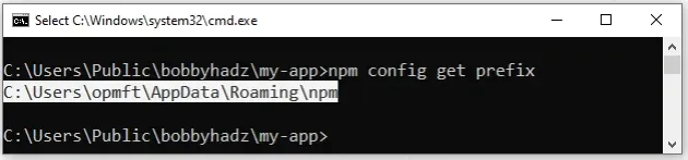 npm config get prefix