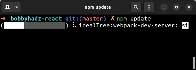 issue npm update command
