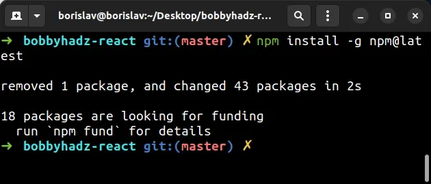 update npm to latest version