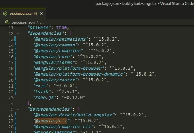check angular versions in package json